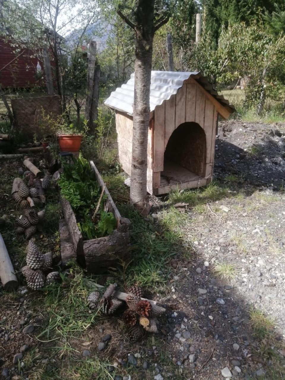 Cabana May Pao, Para 3 En Melipeuco Cerca Del Parque Nacional Conguillio Εξωτερικό φωτογραφία