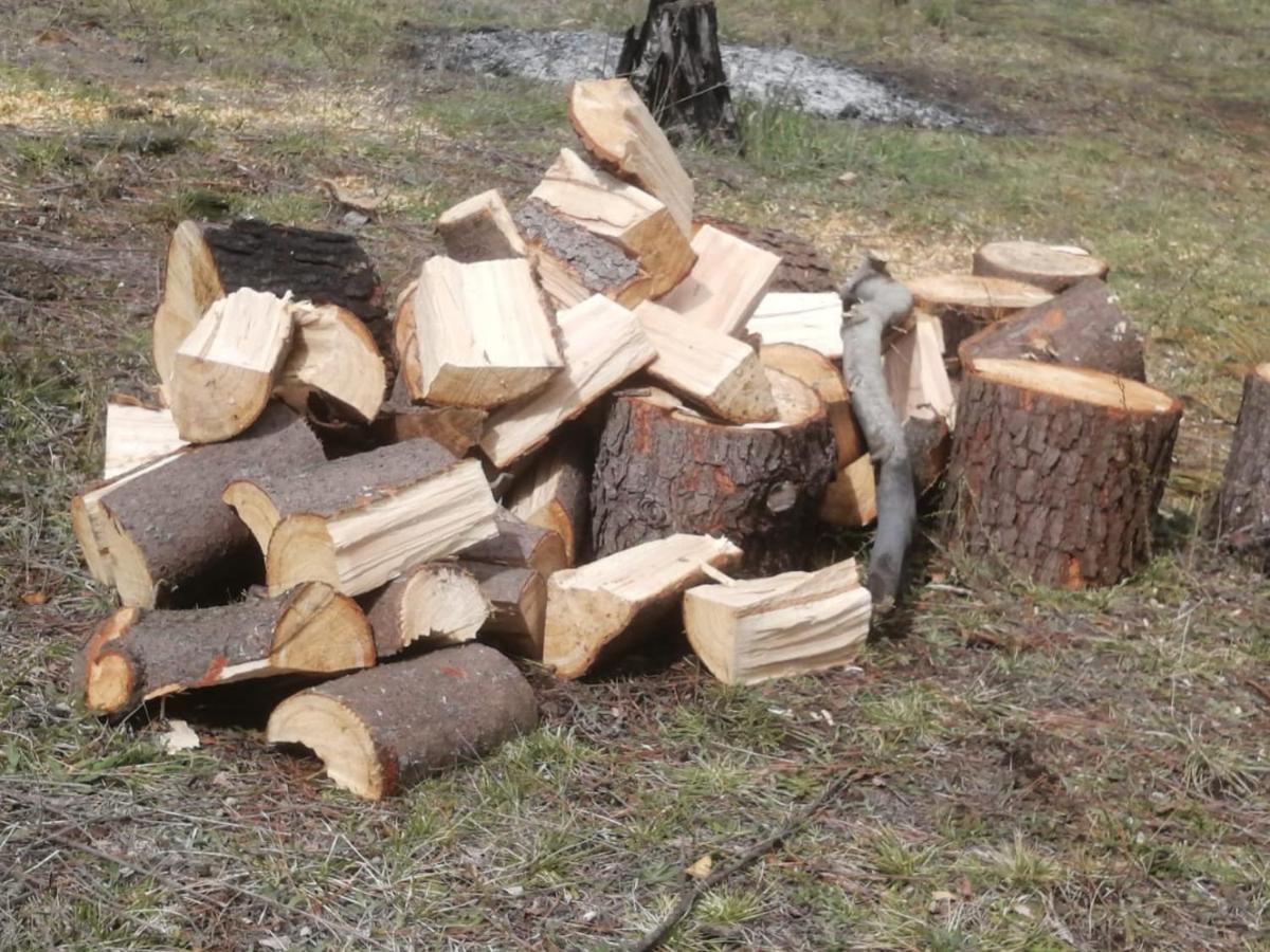 Cabana May Pao, Para 3 En Melipeuco Cerca Del Parque Nacional Conguillio Εξωτερικό φωτογραφία