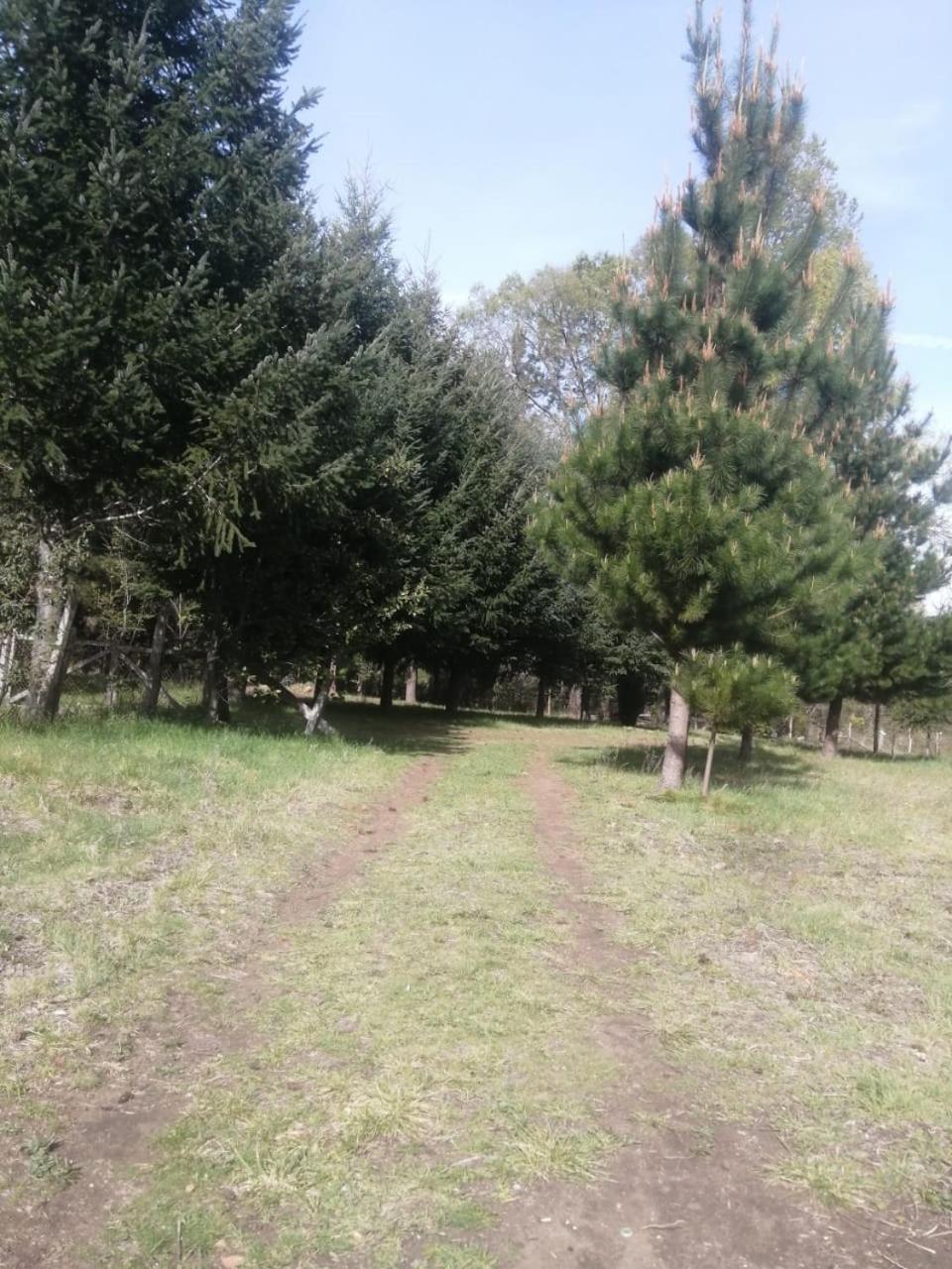 Cabana May Pao, Para 3 En Melipeuco Cerca Del Parque Nacional Conguillio Εξωτερικό φωτογραφία