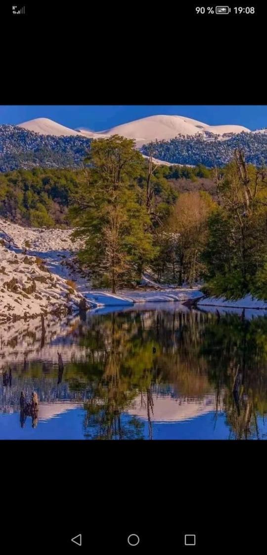 Cabana May Pao, Para 3 En Melipeuco Cerca Del Parque Nacional Conguillio Εξωτερικό φωτογραφία