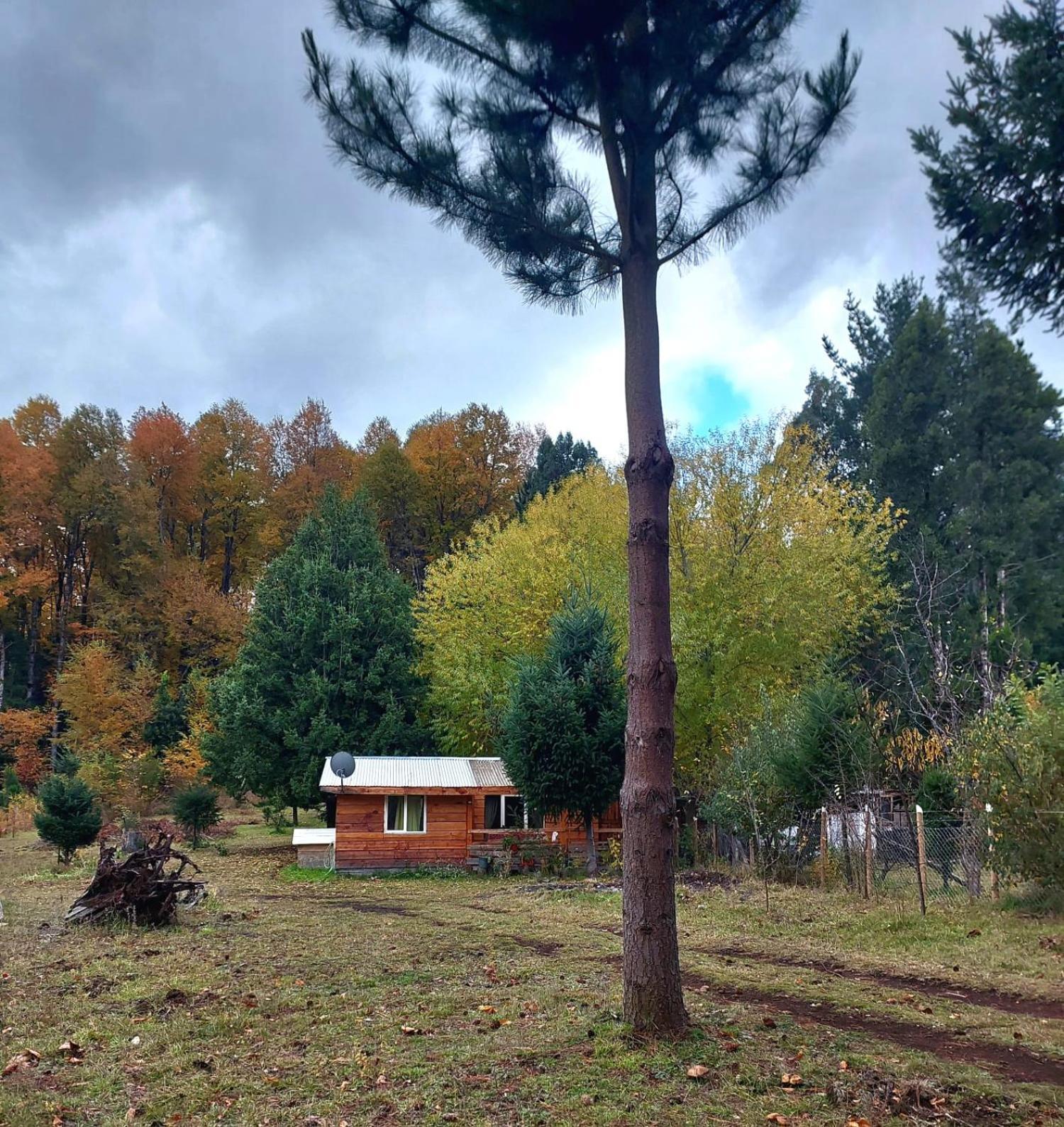Cabana May Pao, Para 3 En Melipeuco Cerca Del Parque Nacional Conguillio Εξωτερικό φωτογραφία